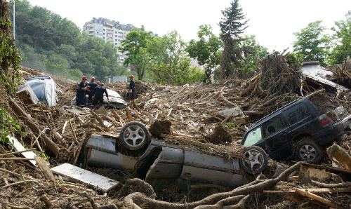 Damaged trees and cars after a natural disaster.